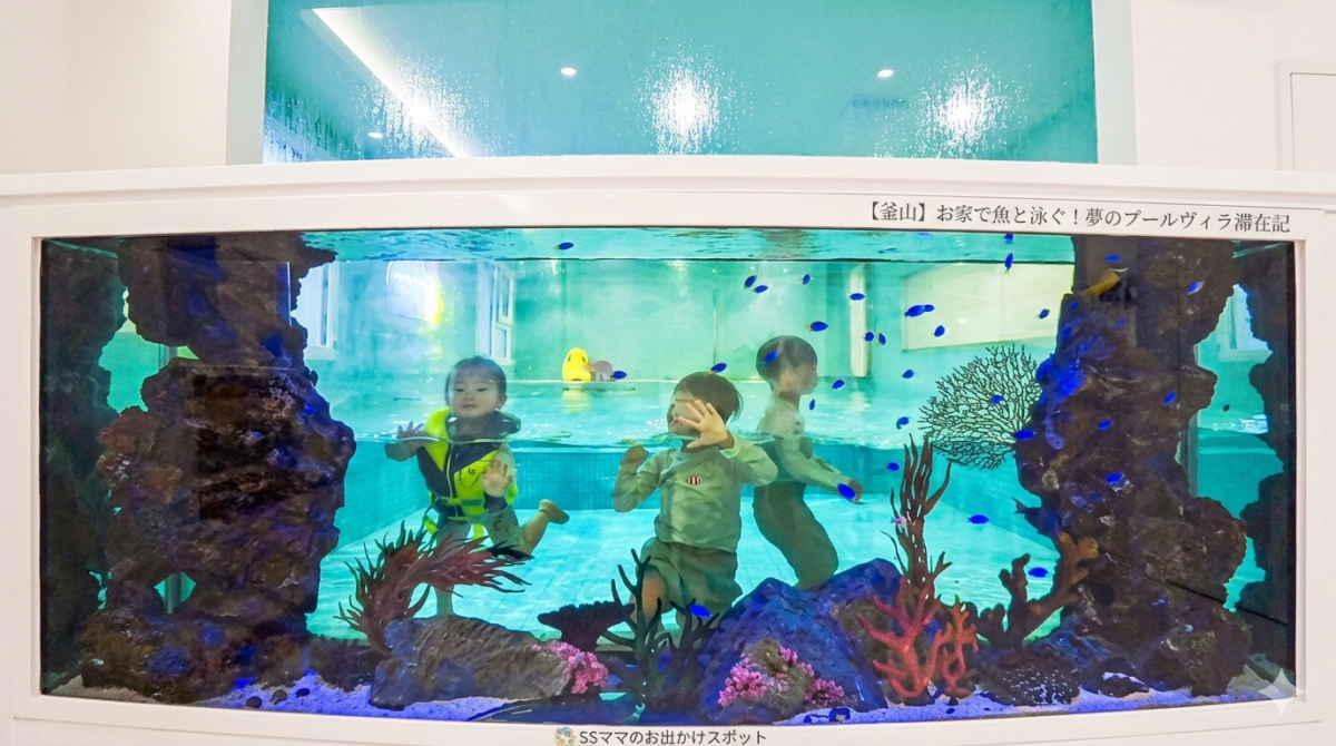 釜山のキッズプールヴィラ「PICOキッズプールヴィラ」の大型水槽付き室内温水プールで泳ぐ子どもたちの様子