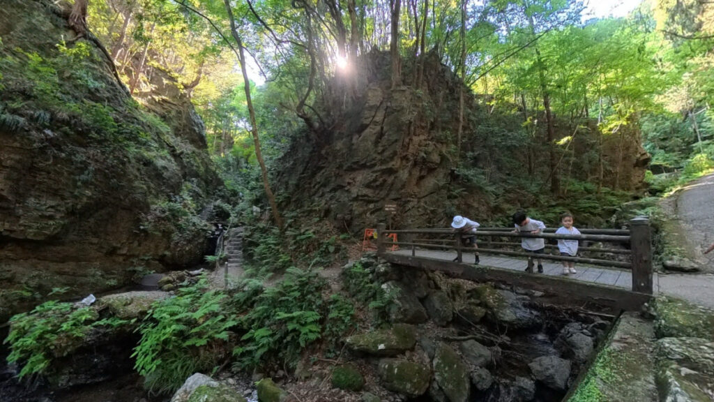 流れる川が気になる3兄弟